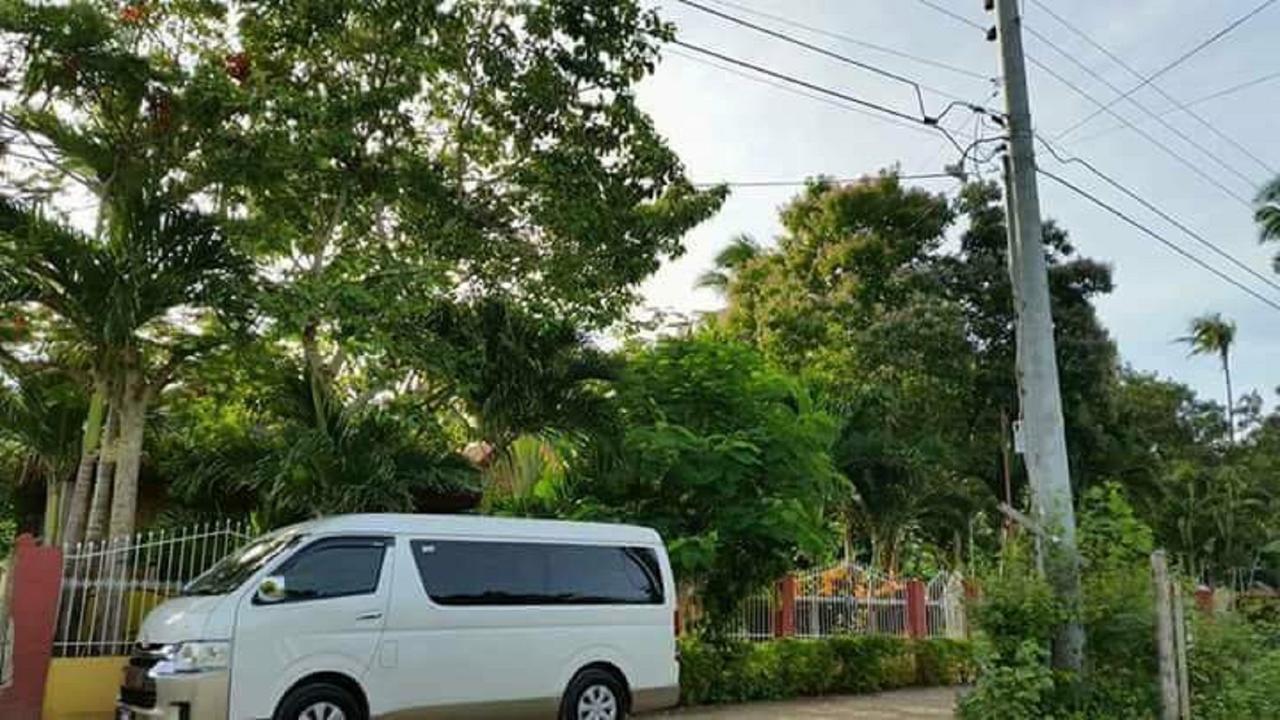 Traville Huts Palm Beach Inn Panglao Eksteriør bilde