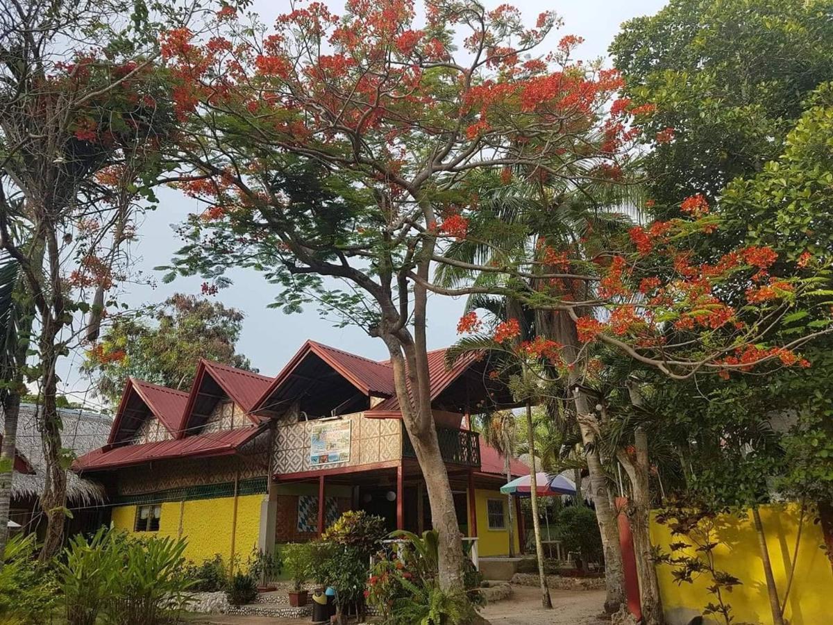 Traville Huts Palm Beach Inn Panglao Eksteriør bilde