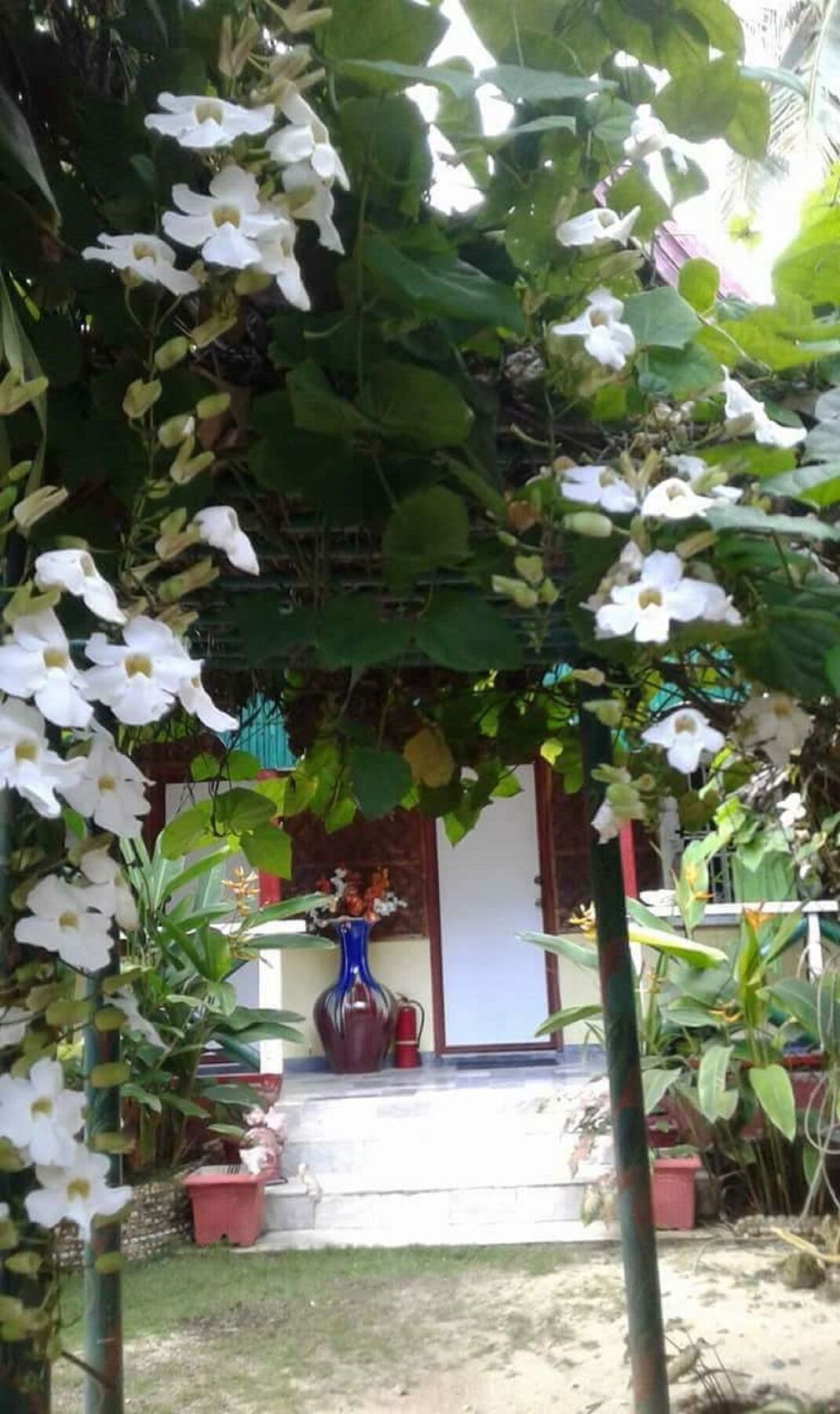 Traville Huts Palm Beach Inn Panglao Eksteriør bilde