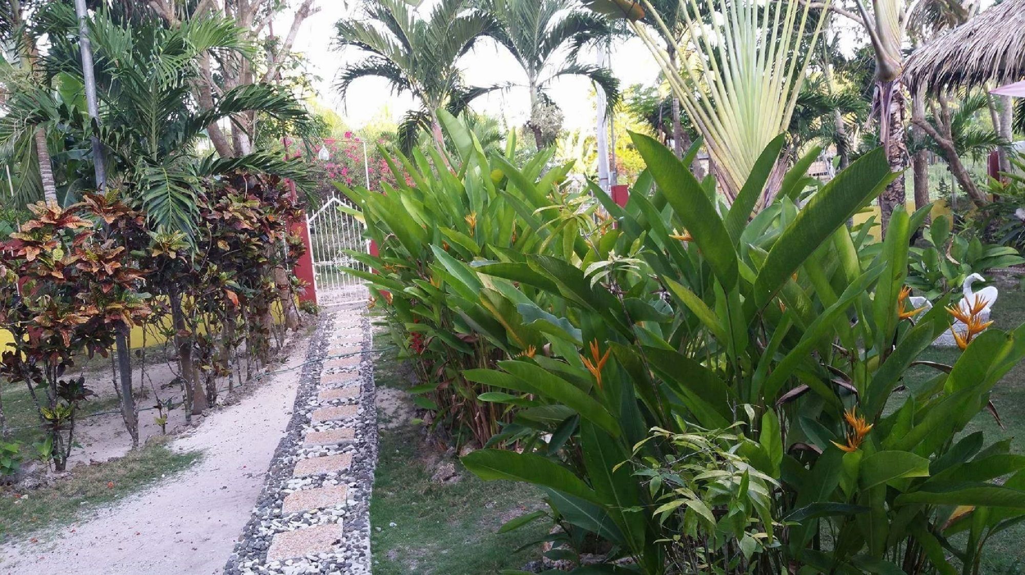 Traville Huts Palm Beach Inn Panglao Eksteriør bilde