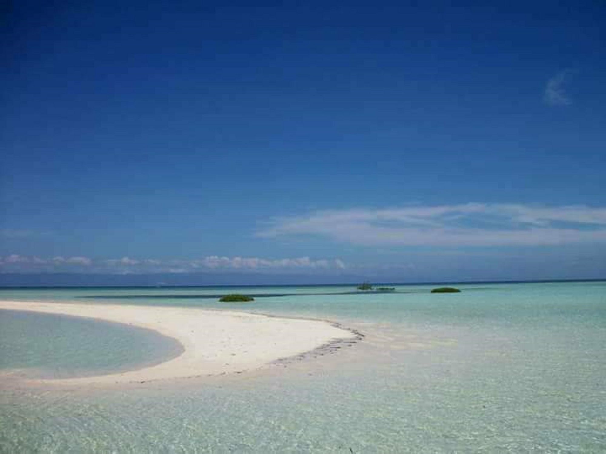 Traville Huts Palm Beach Inn Panglao Eksteriør bilde