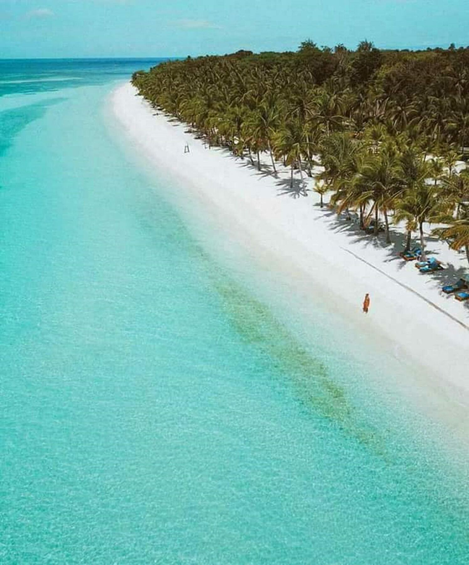 Traville Huts Palm Beach Inn Panglao Eksteriør bilde